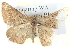  ( - BIOUG04497-G07)  @14 [ ] CreativeCommons - Attribution (2013) CBG Photography Group Centre for Biodiversity Genomics