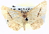  ( - BIOUG04497-G08)  @14 [ ] CreativeCommons - Attribution (2013) CBG Photography Group Centre for Biodiversity Genomics