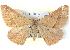  ( - BIOUG04497-H03)  @14 [ ] CreativeCommons - Attribution (2013) CBG Photography Group Centre for Biodiversity Genomics
