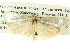  ( - BIOUG04511-C06)  @13 [ ] CreativeCommons - Attribution (2013) CBG Photography Group Centre for Biodiversity Genomics