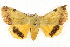  ( - BIOUG04511-G06)  @13 [ ] CreativeCommons - Attribution (2013) CBG Photography Group Centre for Biodiversity Genomics