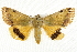  ( - BIOUG04511-G07)  @13 [ ] CreativeCommons - Attribution (2013) CBG Photography Group Centre for Biodiversity Genomics