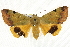  ( - BIOUG04511-G08)  @14 [ ] CreativeCommons - Attribution (2013) CBG Photography Group Centre for Biodiversity Genomics