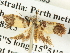  ( - BIOUG04512-A05)  @12 [ ] CreativeCommons - Attribution (2013) CBG Photography Group Centre for Biodiversity Genomics