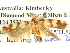  ( - BIOUG04512-D07)  @13 [ ] CreativeCommons - Attribution (2013) CBG Photography Group Centre for Biodiversity Genomics