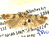  ( - BIOUG04512-D09)  @12 [ ] CreativeCommons - Attribution (2013) CBG Photography Group Centre for Biodiversity Genomics