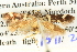  ( - BIOUG04512-F11)  @13 [ ] CreativeCommons - Attribution (2013) CBG Photography Group Centre for Biodiversity Genomics