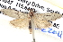  ( - BIOUG04521-C08)  @12 [ ] CreativeCommons - Attribution (2013) CBG Photography Group Centre for Biodiversity Genomics