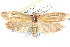  ( - BIOUG04521-D11)  @13 [ ] CreativeCommons - Attribution (2013) CBG Photography Group Centre for Biodiversity Genomics