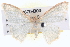  ( - BIOUG04670-B03)  @13 [ ] CreativeCommons - Attribution (2013) CBG Photography Group Centre for Biodiversity Genomics