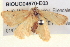  ( - BIOUG04670-E03)  @13 [ ] CreativeCommons - Attribution (2013) CBG Photography Group Centre for Biodiversity Genomics