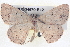  ( - BIOUG04670-E12)  @13 [ ] CreativeCommons - Attribution (2013) CBG Photography Group Centre for Biodiversity Genomics