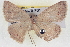  ( - BIOUG04670-F01)  @13 [ ] CreativeCommons - Attribution (2013) CBG Photography Group Centre for Biodiversity Genomics