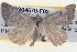  ( - BIOUG04670-F02)  @13 [ ] CreativeCommons - Attribution (2013) CBG Photography Group Centre for Biodiversity Genomics