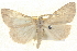  ( - BIOUG04670-G05)  @14 [ ] CreativeCommons - Attribution (2013) CBG Photography Group Centre for Biodiversity Genomics