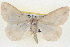  ( - BIOUG04670-G09)  @14 [ ] CreativeCommons - Attribution (2013) CBG Photography Group Centre for Biodiversity Genomics