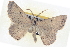  ( - BIOUG04670-G11)  @14 [ ] CreativeCommons - Attribution (2013) CBG Photography Group Centre for Biodiversity Genomics