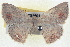  ( - BIOUG04670-H01)  @13 [ ] CreativeCommons - Attribution (2013) CBG Photography Group Centre for Biodiversity Genomics