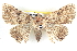  ( - BIOUG04672-A01)  @13 [ ] CreativeCommons - Attribution (2013) CBG Photography Group Centre for Biodiversity Genomics