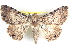  ( - BIOUG04672-A04)  @14 [ ] CreativeCommons - Attribution (2013) CBG Photography Group Centre for Biodiversity Genomics