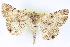  ( - BIOUG04672-B12)  @14 [ ] CreativeCommons - Attribution (2013) CBG Photography Group Centre for Biodiversity Genomics
