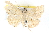  ( - BIOUG04672-E09)  @14 [ ] CreativeCommons - Attribution (2013) CBG Photography Group Centre for Biodiversity Genomics