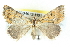  ( - BIOUG04672-H01)  @14 [ ] CreativeCommons - Attribution (2013) CBG Photography Group Centre for Biodiversity Genomics