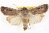  ( - BIOUG04675-A12)  @14 [ ] CreativeCommons - Attribution (2013) CBG Photography Group Centre for Biodiversity Genomics