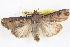  ( - BIOUG04675-B10)  @14 [ ] CreativeCommons - Attribution (2013) CBG Photography Group Centre for Biodiversity Genomics