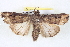  ( - BIOUG04675-C07)  @14 [ ] CreativeCommons - Attribution (2013) CBG Photography Group Centre for Biodiversity Genomics