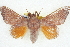  ( - BIOUG04675-E07)  @11 [ ] CreativeCommons - Attribution (2013) CBG Photography Group Centre for Biodiversity Genomics