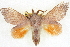  ( - BIOUG04675-G02)  @11 [ ] CreativeCommons - Attribution (2013) CBG Photography Group Centre for Biodiversity Genomics