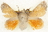  ( - BIOUG04675-G03)  @11 [ ] CreativeCommons - Attribution (2013) CBG Photography Group Centre for Biodiversity Genomics