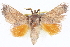  ( - BIOUG04675-G06)  @11 [ ] CreativeCommons - Attribution (2013) CBG Photography Group Centre for Biodiversity Genomics