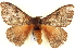  ( - BIOUG04676-B10)  @14 [ ] CreativeCommons - Attribution (2013) CBG Photography Group Centre for Biodiversity Genomics