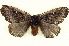  ( - BIOUG04676-C01)  @13 [ ] CreativeCommons - Attribution (2013) CBG Photography Group Centre for Biodiversity Genomics