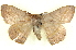  ( - BIOUG04676-C09)  @14 [ ] CreativeCommons - Attribution (2013) CBG Photography Group Centre for Biodiversity Genomics