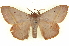  ( - BIOUG04676-C10)  @14 [ ] CreativeCommons - Attribution (2013) CBG Photography Group Centre for Biodiversity Genomics