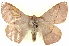  ( - BIOUG04676-C11)  @14 [ ] CreativeCommons - Attribution (2013) CBG Photography Group Centre for Biodiversity Genomics