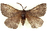  ( - BIOUG04676-D01)  @15 [ ] CreativeCommons - Attribution (2013) CBG Photography Group Centre for Biodiversity Genomics