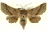  ( - BIOUG04676-E03)  @14 [ ] CreativeCommons - Attribution (2013) CBG Photography Group Centre for Biodiversity Genomics