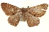  ( - BIOUG04677-A11)  @14 [ ] CreativeCommons - Attribution (2013) CBG Photography Group Centre for Biodiversity Genomics