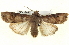  ( - BIOUG04677-A12)  @14 [ ] CreativeCommons - Attribution (2013) CBG Photography Group Centre for Biodiversity Genomics