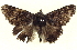  ( - BIOUG04677-B10)  @12 [ ] CreativeCommons - Attribution (2013) CBG Photography Group Centre for Biodiversity Genomics