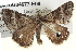  ( - BIOUG04677-E08)  @14 [ ] CreativeCommons - Attribution (2013) CBG Photography Group Centre for Biodiversity Genomics