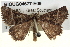  ( - BIOUG04677-E09)  @14 [ ] CreativeCommons - Attribution (2013) CBG Photography Group Centre for Biodiversity Genomics