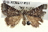  ( - BIOUG04677-E11)  @14 [ ] CreativeCommons - Attribution (2013) CBG Photography Group Centre for Biodiversity Genomics