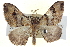  ( - BIOUG04677-G05)  @15 [ ] CreativeCommons - Attribution (2013) CBG Photography Group Centre for Biodiversity Genomics