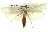  ( - BIOUG05071-G11)  @14 [ ] CreativeCommons - Attribution (2013) CBG Photography Group Centre for Biodiversity Genomics