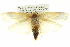  ( - BIOUG05071-H08)  @13 [ ] CreativeCommons - Attribution (2013) CBG Photography Group Centre for Biodiversity Genomics